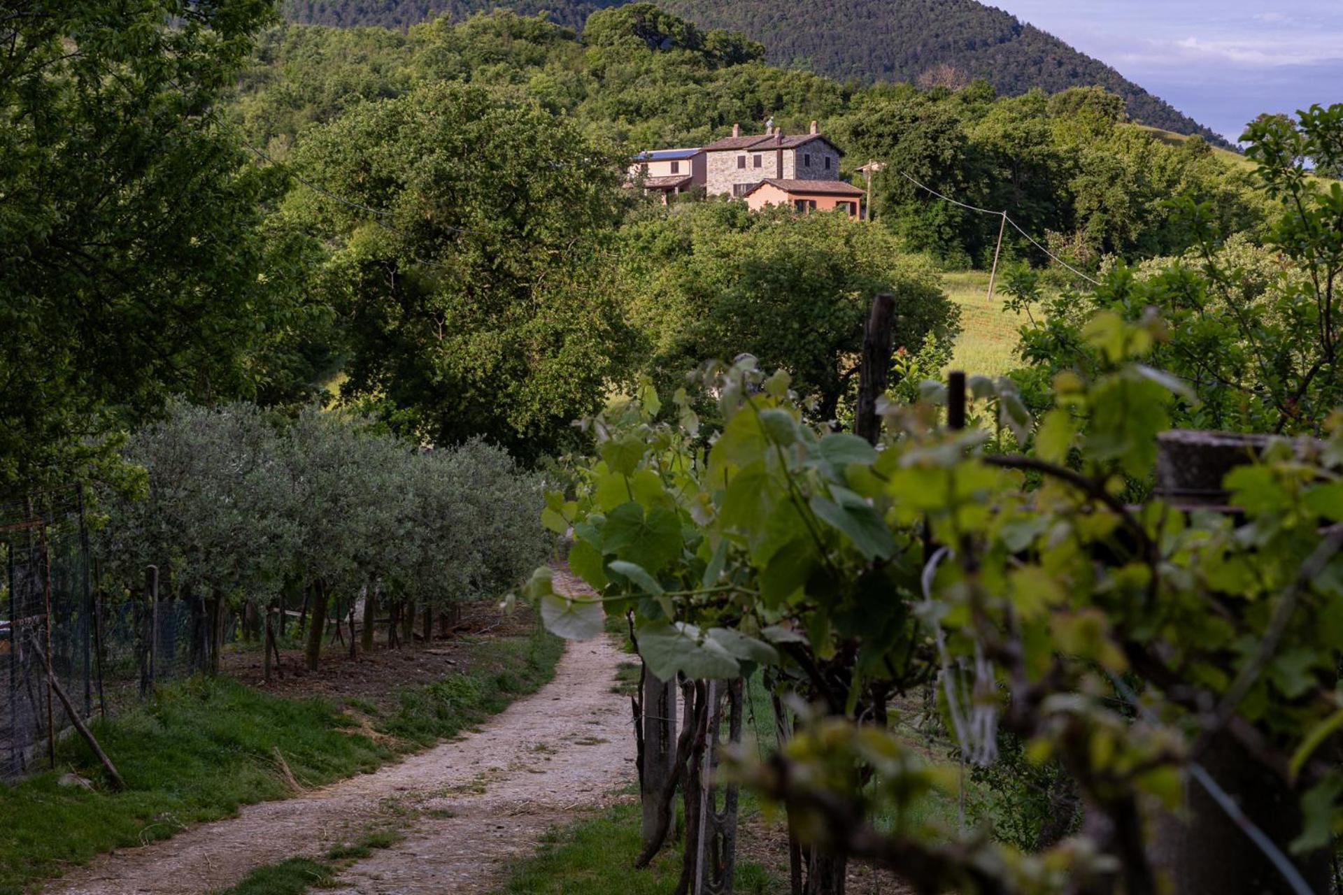 Relais Parco Del Subasio Villa Piano Delle Pieve Exteriör bild