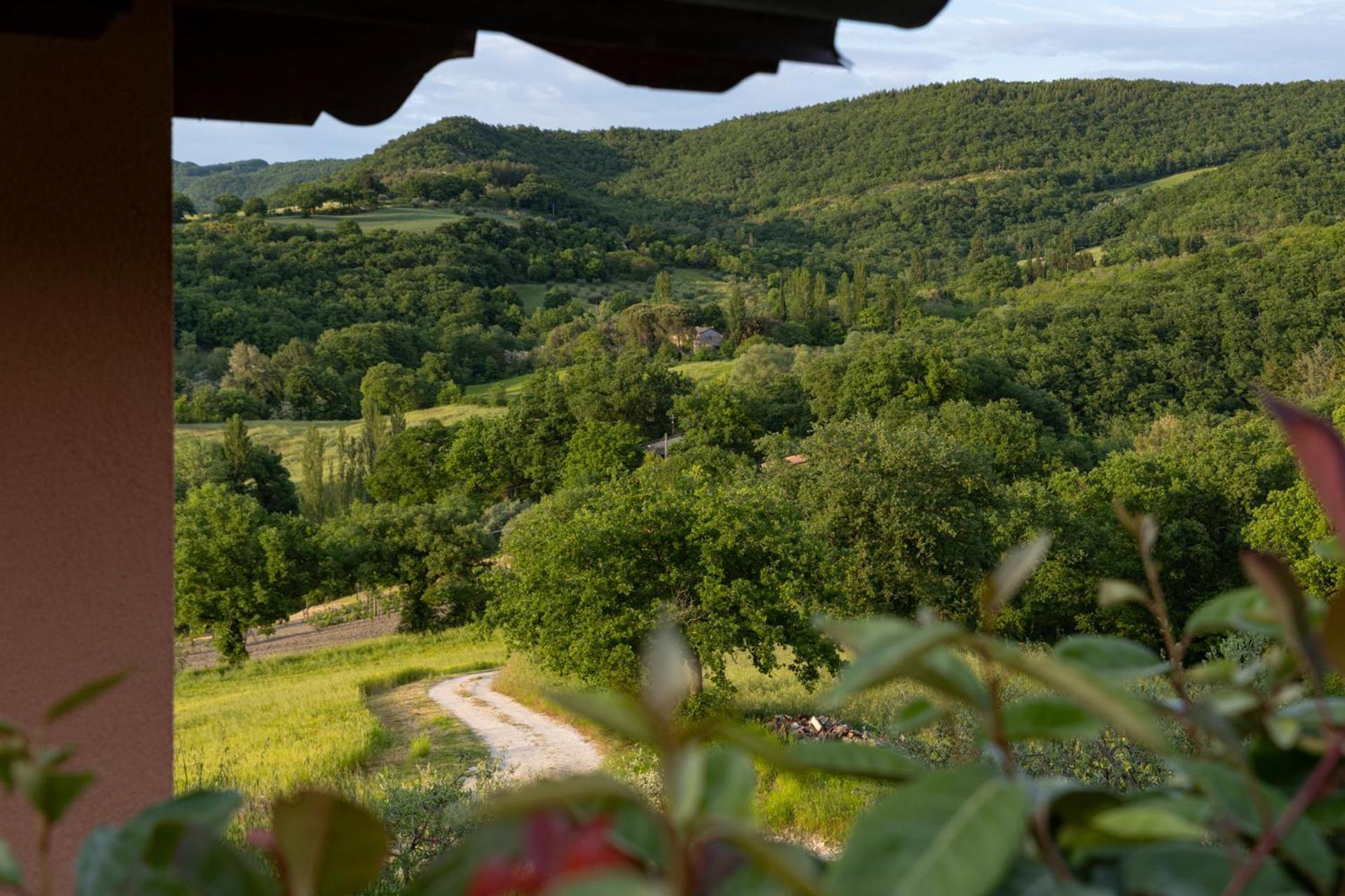 Relais Parco Del Subasio Villa Piano Delle Pieve Exteriör bild